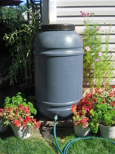 Baril pluie.jpg