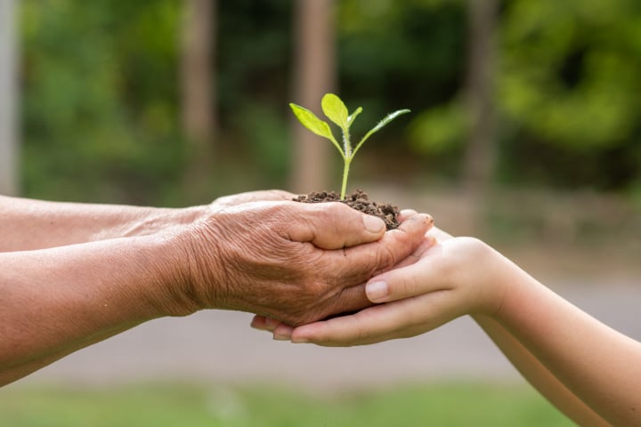 Journée de l’environnement