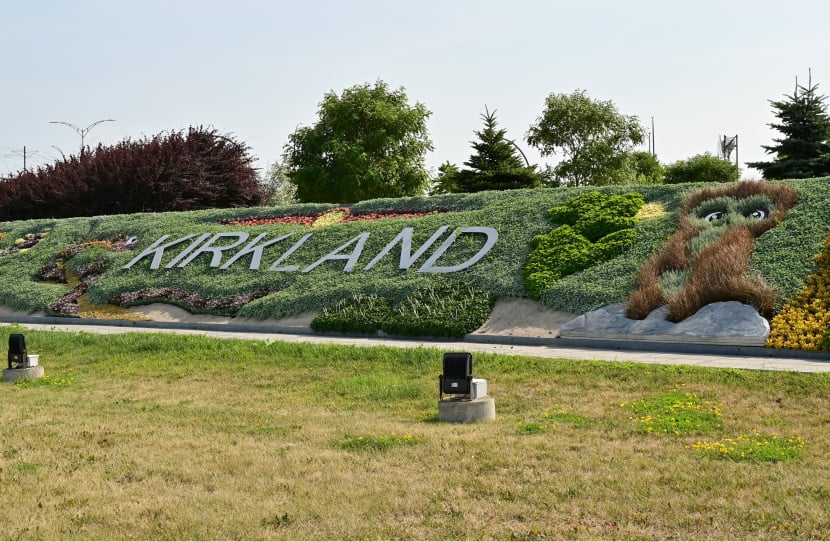 Plant Theft from the Town’s Floral Mosaic: A Call for Vigilance