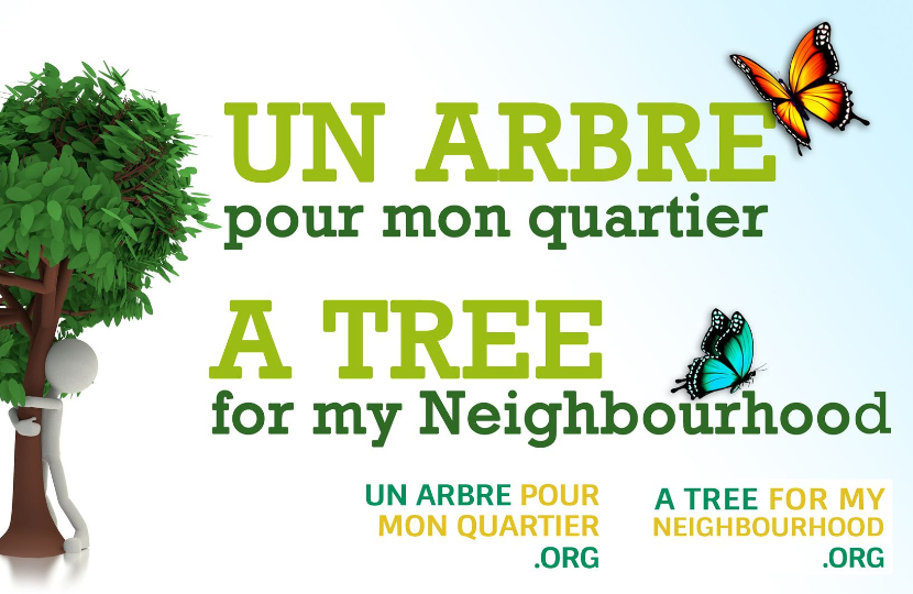 Un arbre pour mon quartier est de retour!